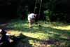 Building a swing